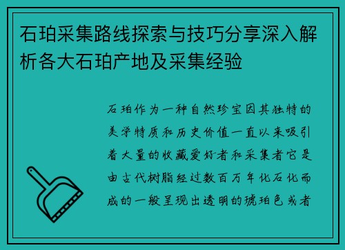 石珀采集路线探索与技巧分享深入解析各大石珀产地及采集经验